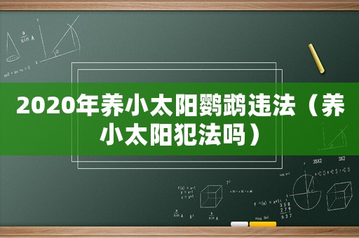 2020年养小太阳鹦鹉违法(养小太阳犯法吗) 2020年养小太阳鹦鹉违法(养小太阳犯法吗)