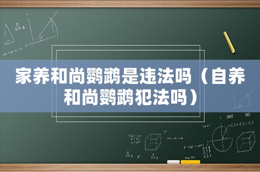 家养和尚鹦鹉是违法吗（自养和尚鹦鹉犯法吗）