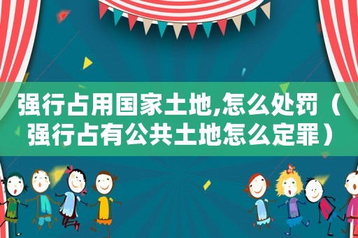 强行占用国家土地,怎么处罚（强行占有公共土地怎么定罪）