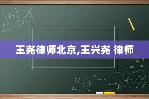 王尧律师北京,王兴尧 律师