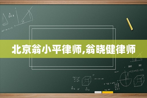 北京翁小平律师,翁晓健律师