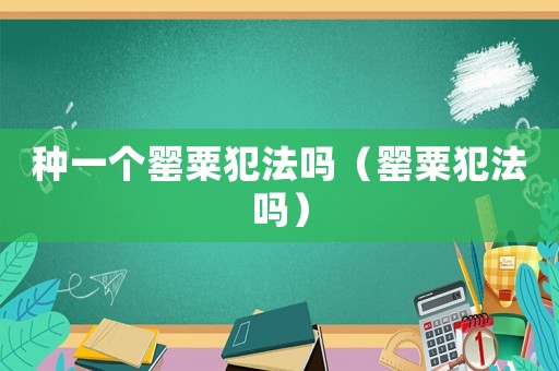 种一个罂粟犯法吗（罂粟犯法吗）