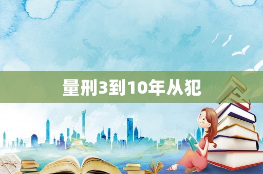 量刑3到10年从犯