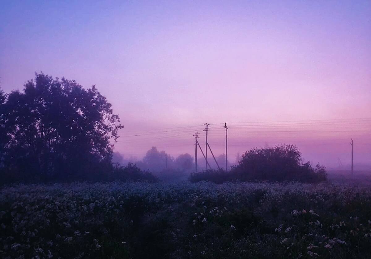 偷路标指示牌(偷乡村道路指示牌怎么定罪)